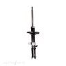 Roadsafe STR Sealed Strut - R600600
