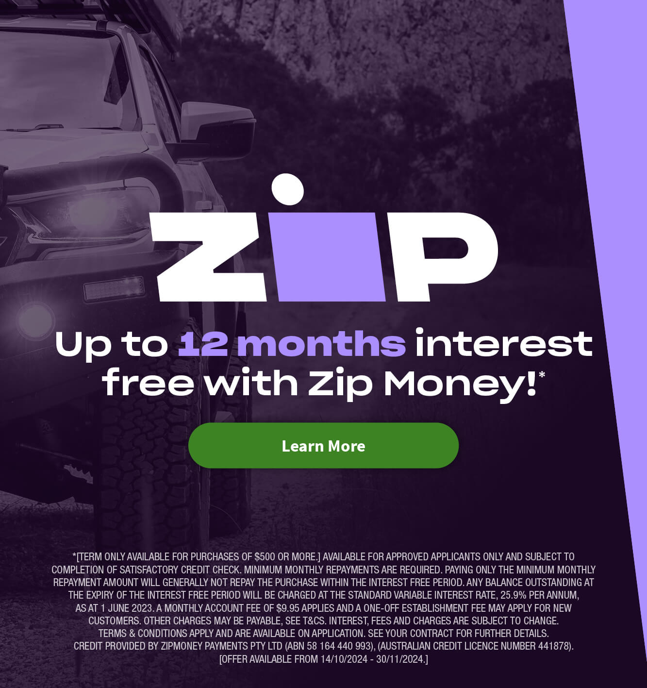 Zip promo 12 months